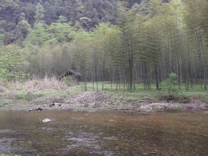 2012年4月15日万坪杉木河水库万福线竹林