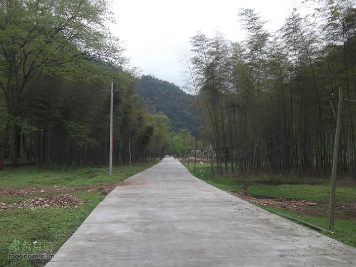 2012年4月15日万坪杉木河水库万福线竹林骑行