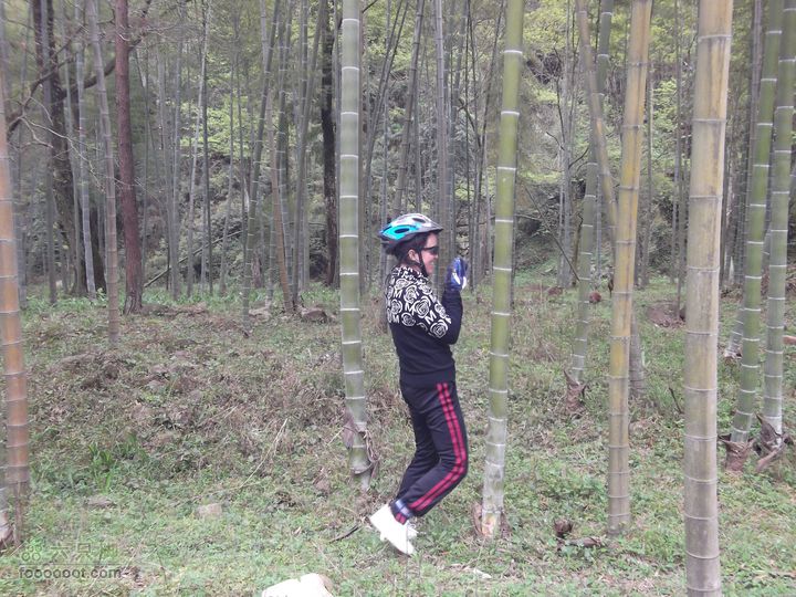 2012年4月15日万坪杉木河水库万福线飞鱼