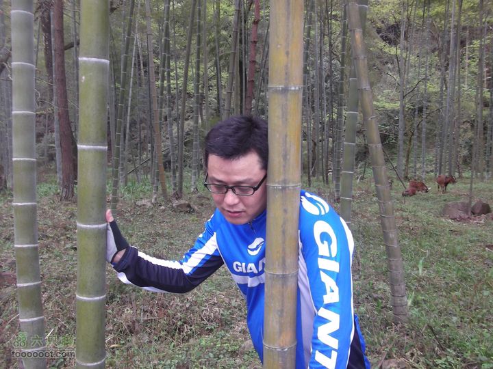 2012年4月15日万坪杉木河水库万福线松哥装惆怅