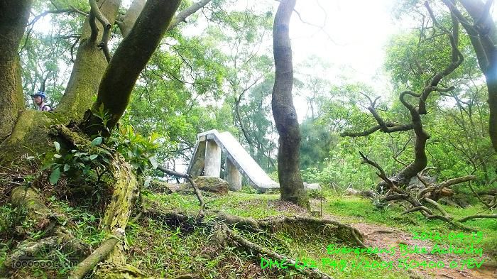 2012 04 15 荃錦坳、清快塘、大棠P1460365