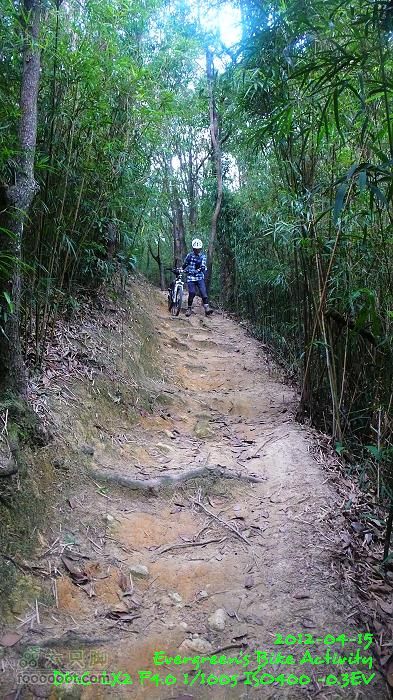 2012 04 15 荃錦坳、清快塘、大棠P1460412