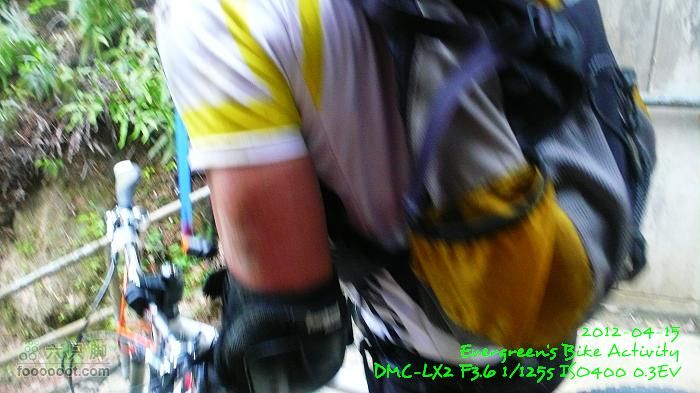 2012 04 15 荃錦坳、清快塘、大棠P1460435
