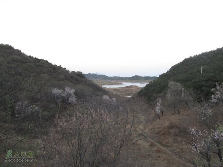 沿京密路-密云水库半日骑行IMG_4161