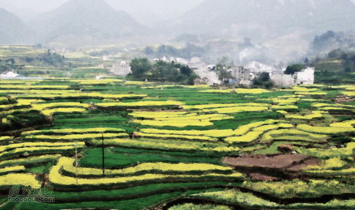 家朋油菜花，荆州小九华(添加一些去年新安江山水画廊的)PS一张油画
