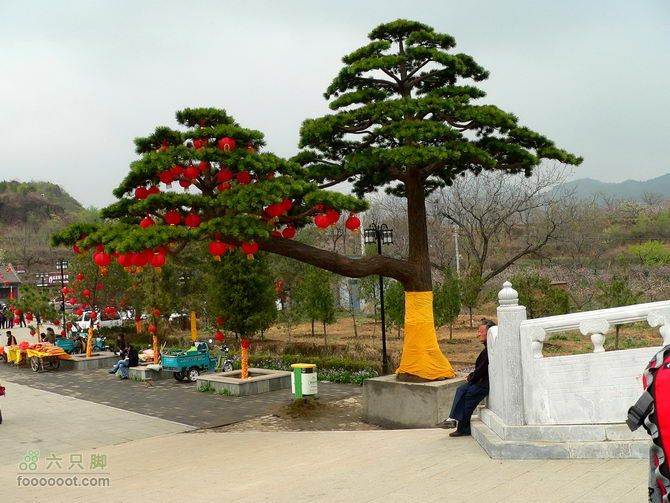 平谷徒步 小金山-丫髻山 看桃花 逛庙会thj077