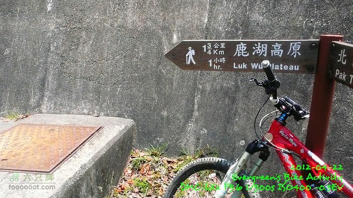 2012 04 22 天梯、榕北走廊、鹿湖郊遊徑P1460651