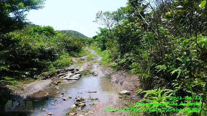 2012 04 22 天梯、榕北走廊、鹿湖郊遊徑P1460655