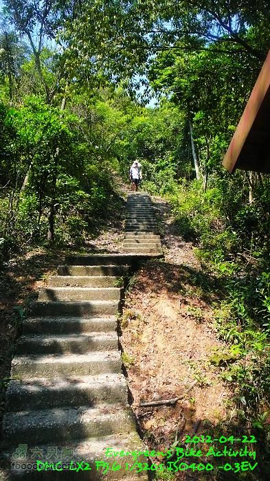 2012 04 22 天梯、榕北走廊、鹿湖郊遊徑P1460664