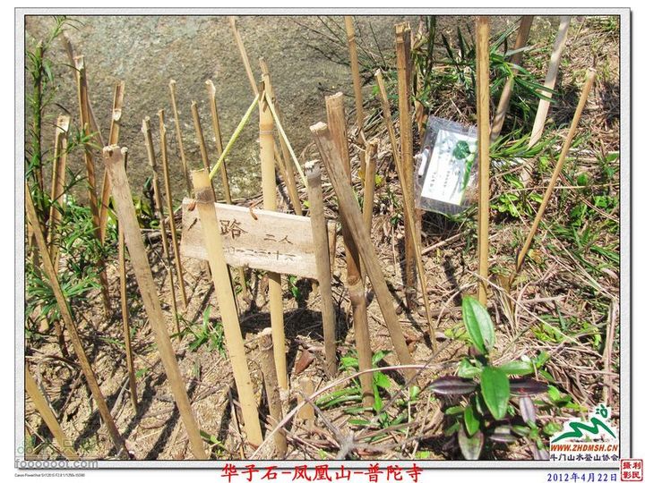 2012年4月22日凤凰山穿越凤凰山_56