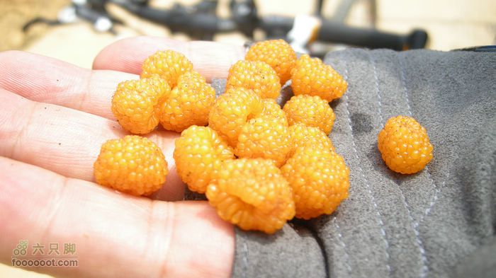 4月21日骑行蒙自风景最美线路 黄泡