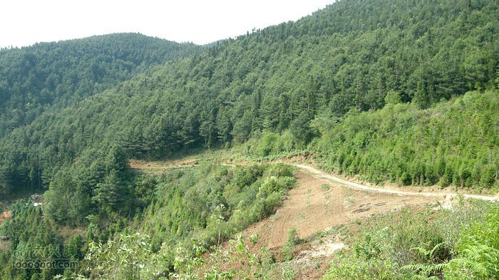 4月21日骑行蒙自风景最美线路蒙自最美山地车骑行线路