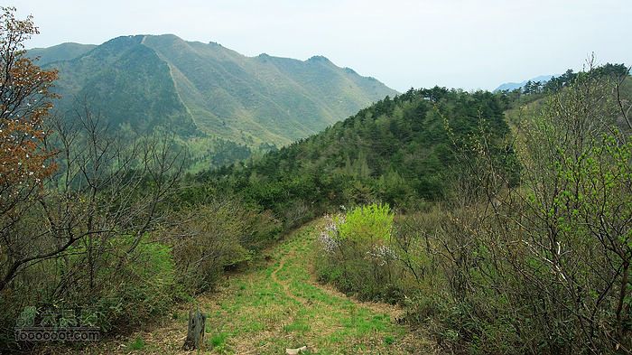 东天目至天目大峡谷徒步前往仰天坪的路上