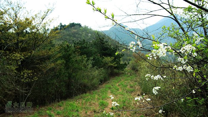 东天目至天目大峡谷徒步风景不错