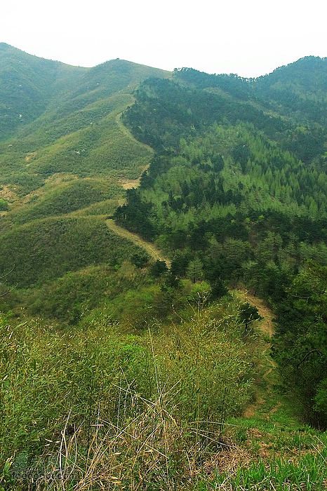 东天目至天目大峡谷徒步因为是反穿，所以绝对挣扎