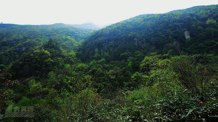 东天目至天目大峡谷徒步向火山石谷方向下撤