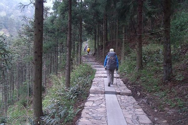 东天目至天目大峡谷徒步整齐的山路