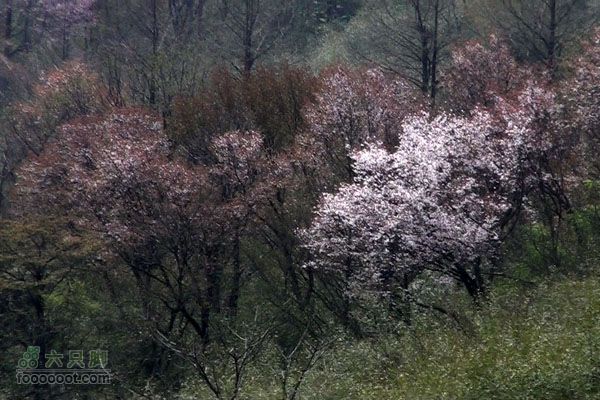 东天目至天目大峡谷徒步DTM_13990