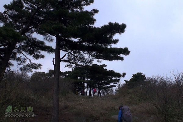 东天目至天目大峡谷徒步DTM_18561