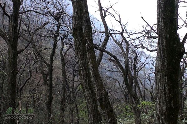 东天目至天目大峡谷徒步DTM_21175