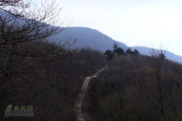 东天目至天目大峡谷徒步DTM_22409