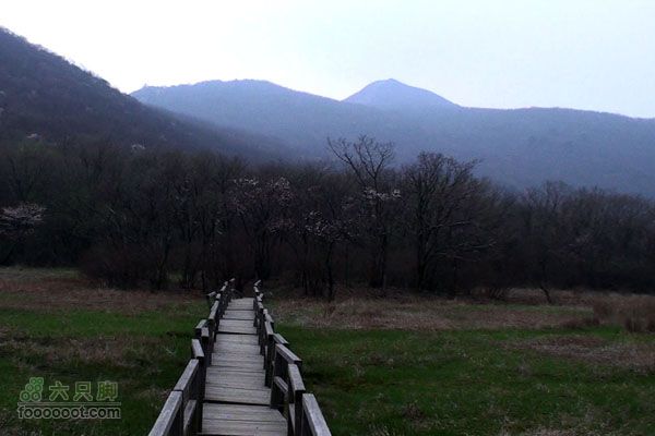 东天目至天目大峡谷徒步DTM_22908