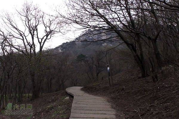 东天目至天目大峡谷徒步DTM_23585