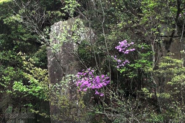 东天目至天目大峡谷徒步DTM_32381