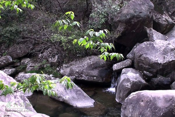 东天目至天目大峡谷徒步DTM_32763