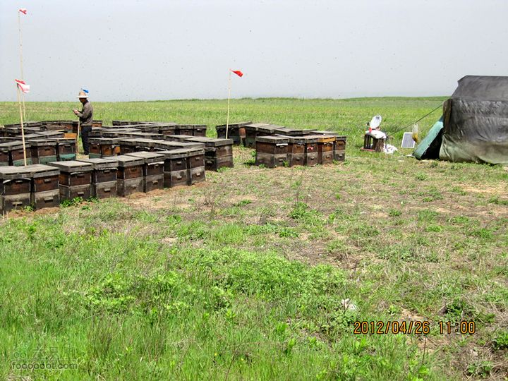 4.26 大峪口--库峪口--汤峪口山地骑行2012.4.26三个峪口 110_副本