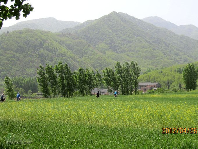 4.26 大峪口--库峪口--汤峪口山地骑行2012.4.26三个峪口 115_副本