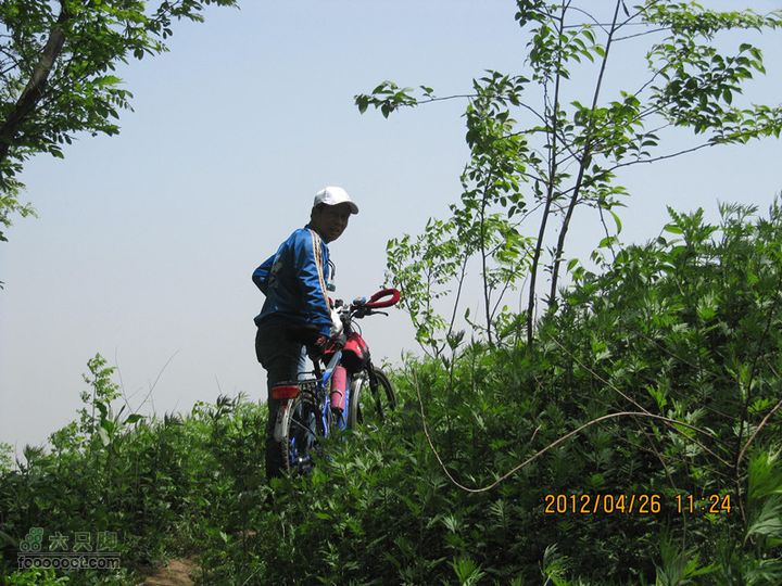 4.26 大峪口--库峪口--汤峪口山地骑行2012.4.26三个峪口 128_副本