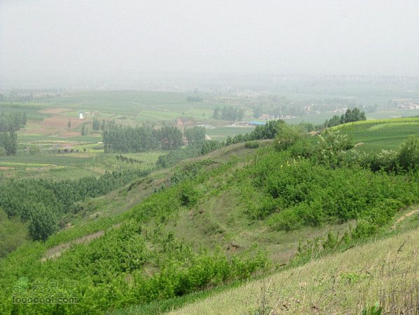 4.26 大峪口--库峪口--汤峪口山地骑行2012.4.26三个峪口 141_副本