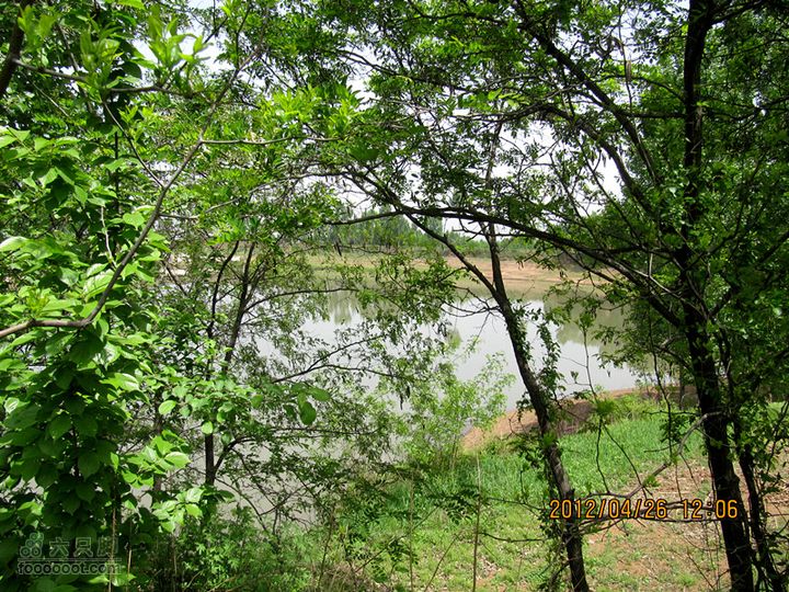 4.26 大峪口--库峪口--汤峪口山地骑行2012.4.26三个峪口 155_副本