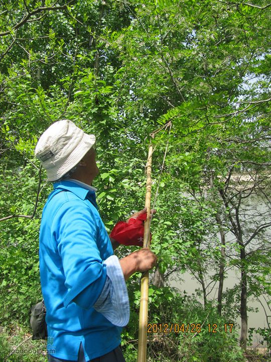4.26 大峪口--库峪口--汤峪口山地骑行2012.4.26三个峪口 171_副本