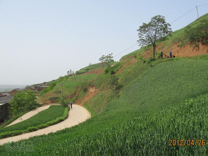 4.26 大峪口--库峪口--汤峪口山地骑行2012.4.26三个峪口 212_副本