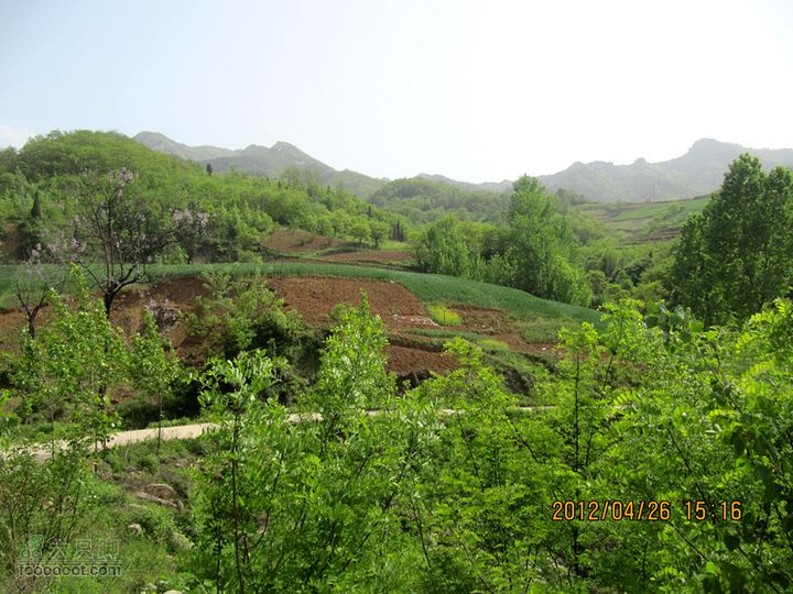 4.26 大峪口--库峪口--汤峪口山地骑行2012.4.26三个峪口 245_副本