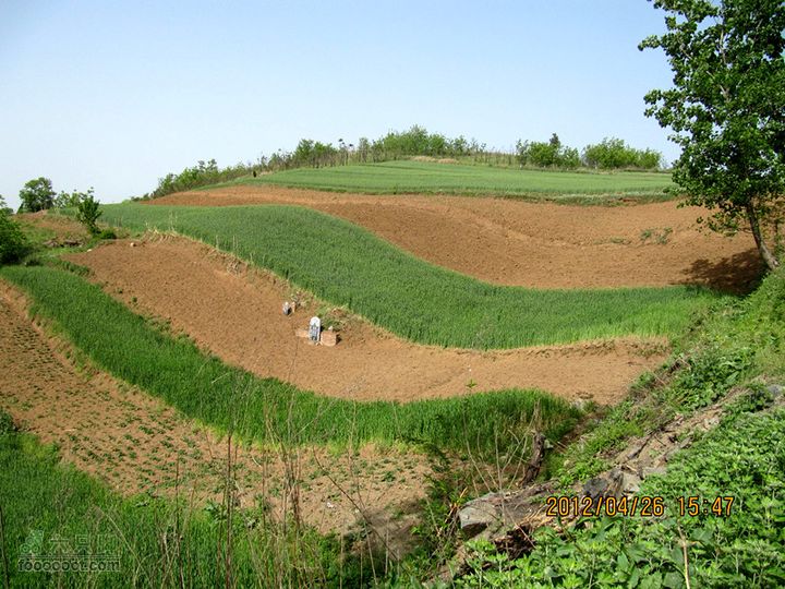 4.26 大峪口--库峪口--汤峪口山地骑行2012.4.26三个峪口 274_副本