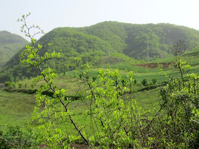 4.26 大峪口--库峪口--汤峪口山地骑行2012.4.26三个峪口 282_副本