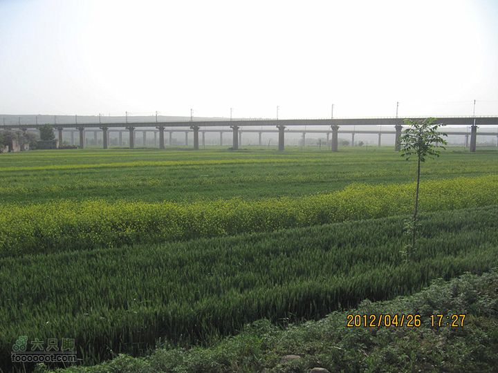 4.26 大峪口--库峪口--汤峪口山地骑行2012.4.26三个峪口 300_副本