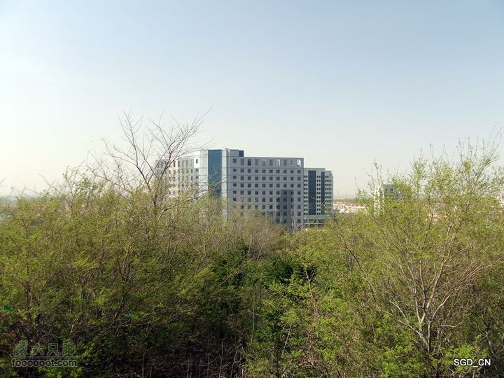 望云寺DSCF4109
