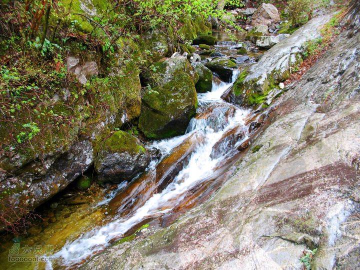 朱雀森林公园conew_img_0015