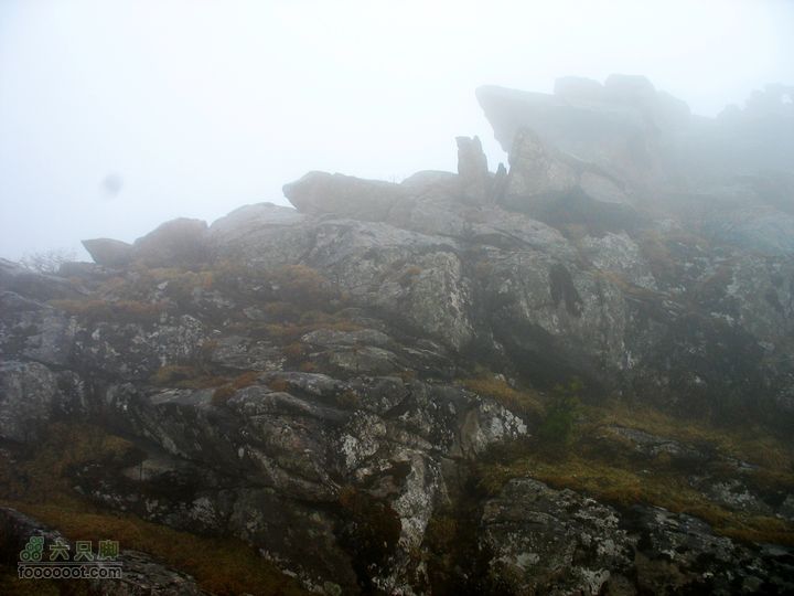 朱雀森林公园conew_img_0042