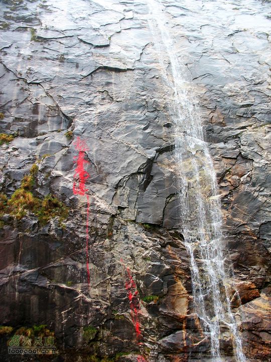 朱雀森林公园conew_img_0033