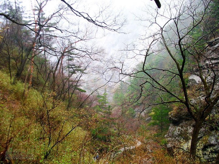 朱雀森林公园conew_img_0036