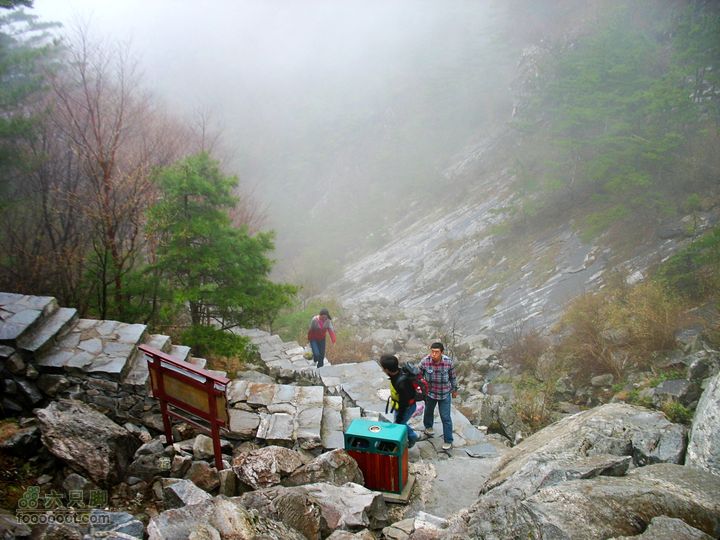 朱雀森林公园conew_img_0038