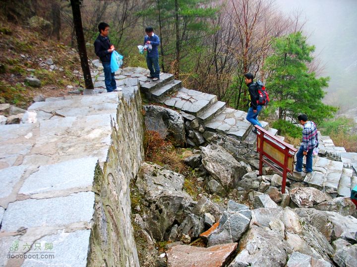 朱雀森林公园conew_img_0039