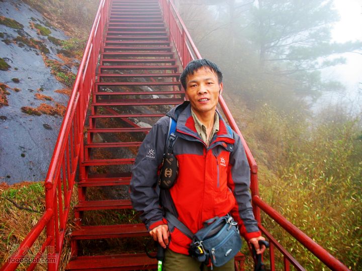 朱雀森林公园conew_img_0041