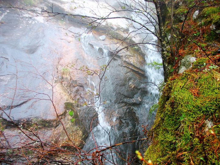 朱雀森林公园conew_img_0067