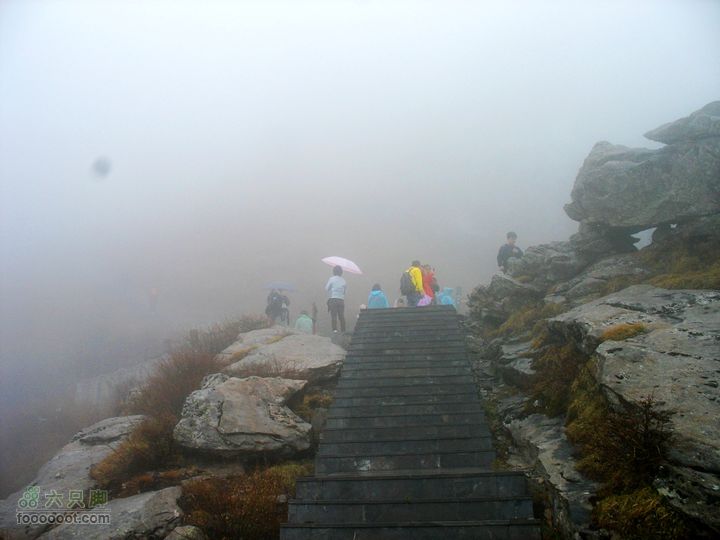 朱雀森林公园conew_img_0043